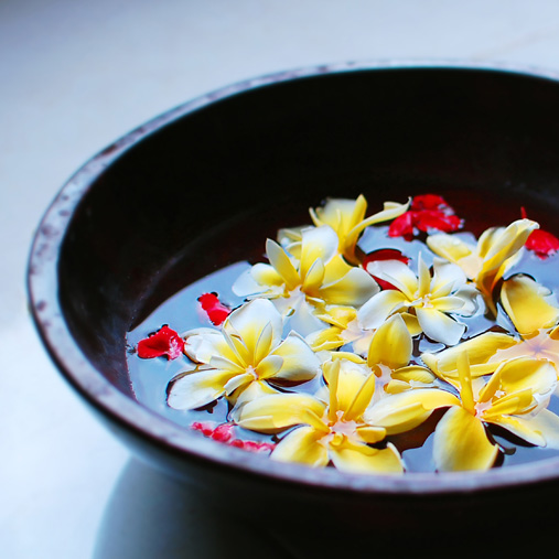 Body cream & shampoo